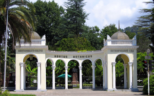 Фото. Ботанический сад в столице Абхазии - Сухуми